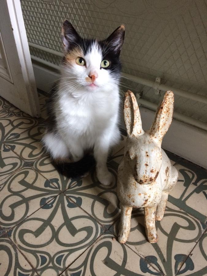 Le Clos Mademoiselle Лош Екстериор снимка